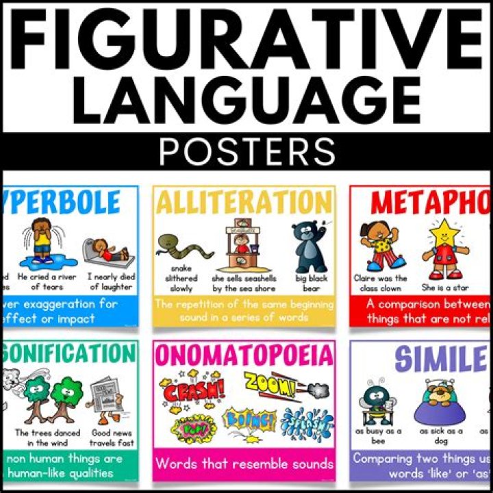 On the figurative language?