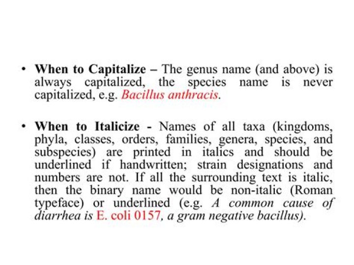 Should bacteria names be italicized?
