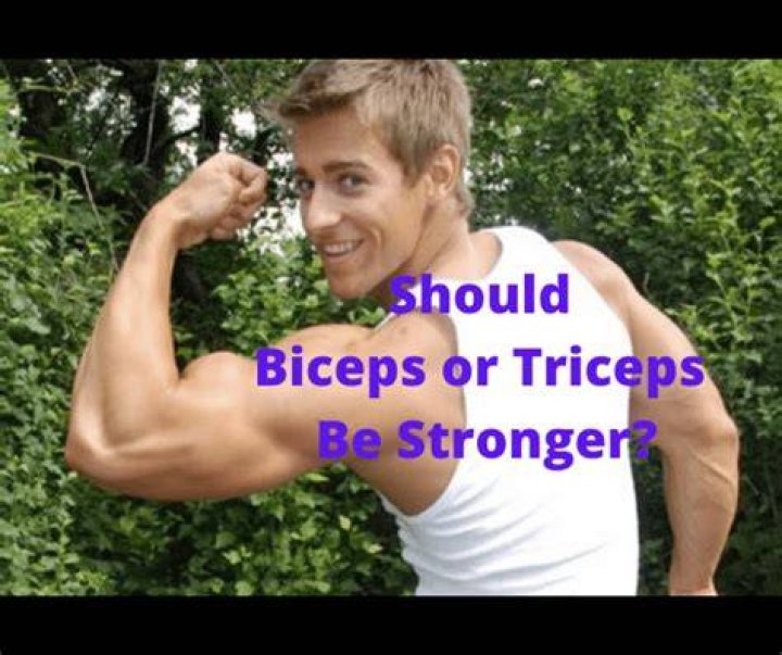 Should biceps or triceps be stronger?