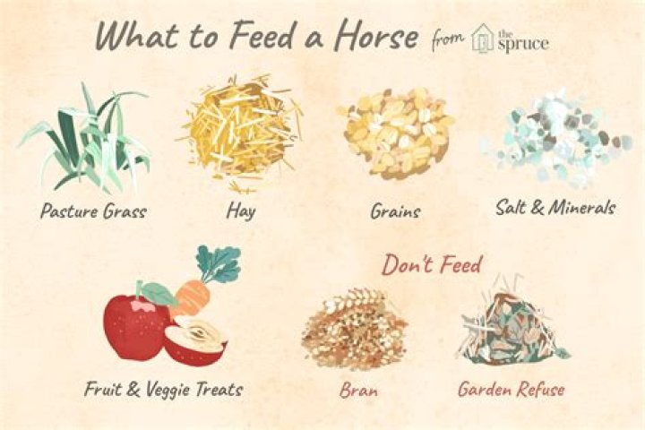 Should horses eat forage?