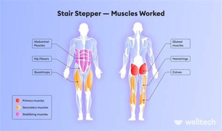 Should i do the stair stepper everyday?