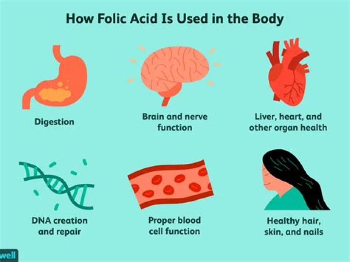 Should i take folic acid?