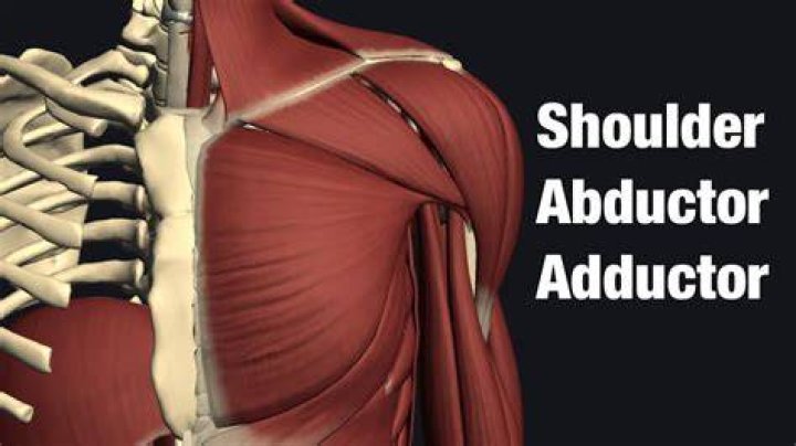 Should i train abductors?