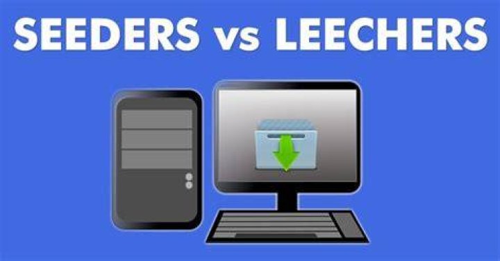 Should seeders be more or leechers?