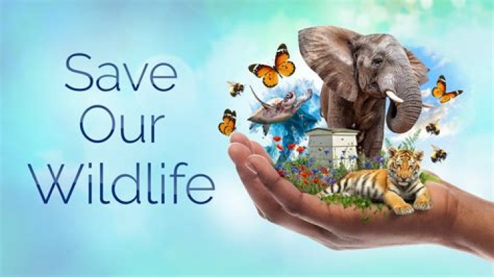 Should we conserve wildlife for future generations?