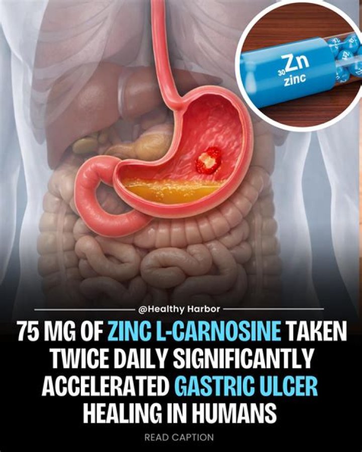 Should zinc carnosine be taken on an empty stomach?