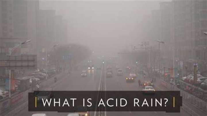 Was acid rain real?