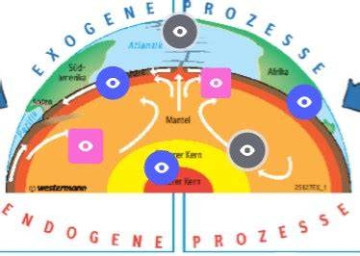 Was bedeutet endogen und exogen?