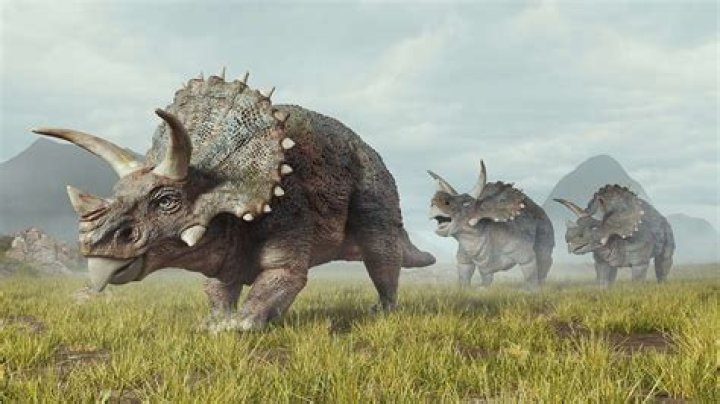 Were all dinosaurs fierce?