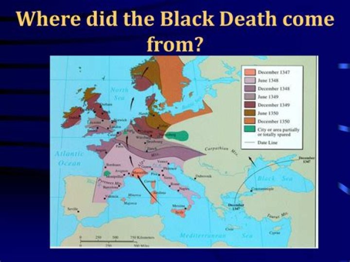 Were did the black death spread?