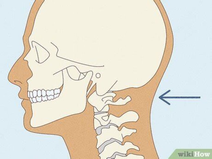 Were is the nape of your neck?