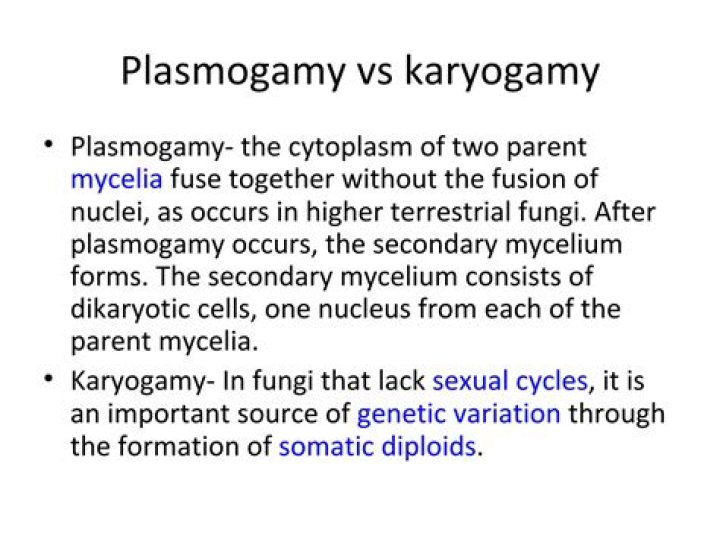 What's karyogamy and plasmogamy?