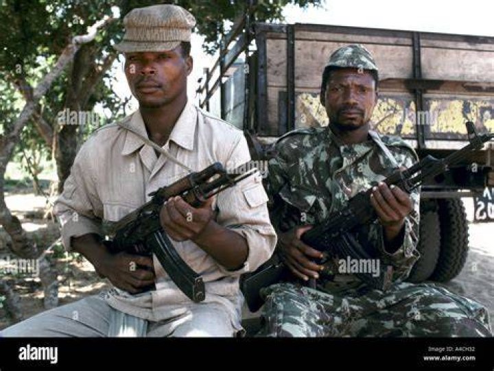 What's the full form of frelimo?
