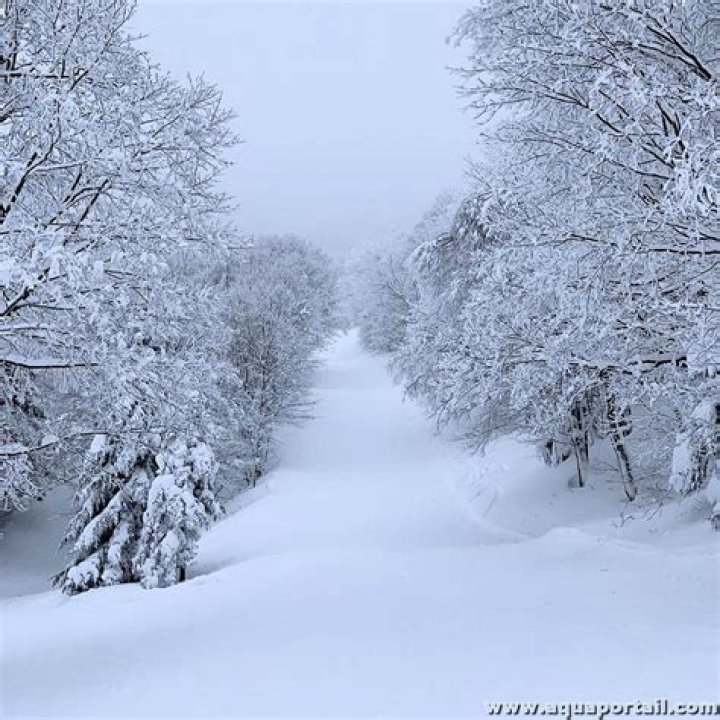 What's the meaning of hiver?