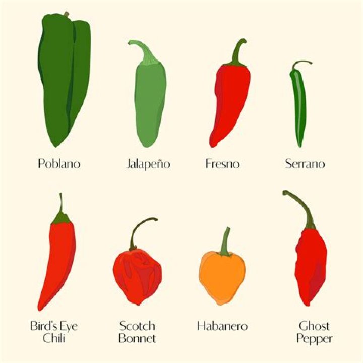 What are chili peppers?