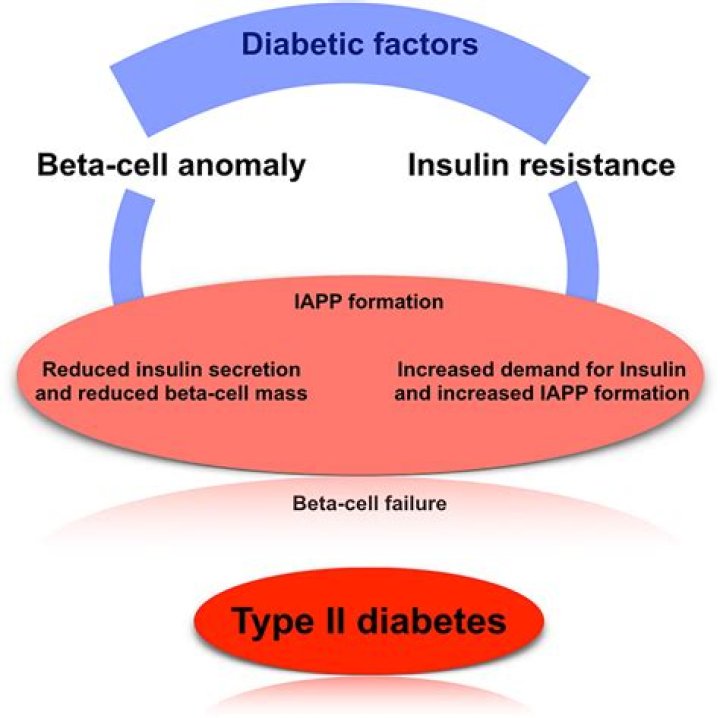 What are diabetogenic factor?