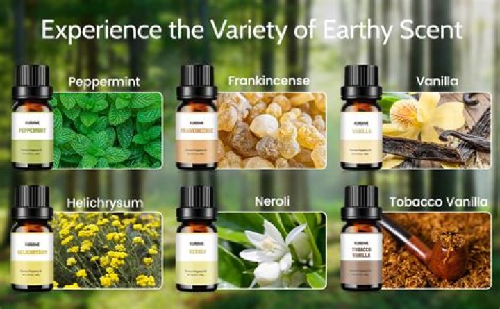 What are earthy scents?