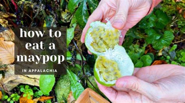 What are maypops good for?