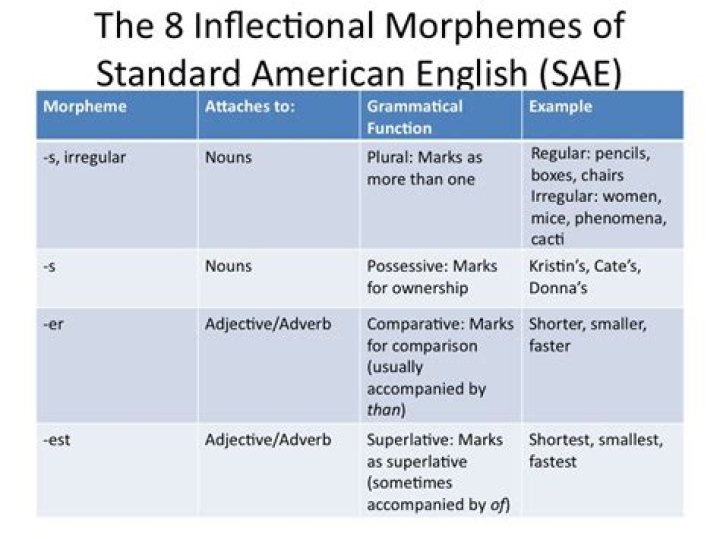 What are the 8 inflectional morphemes?