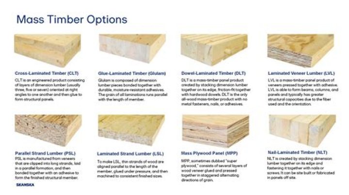 What are the products of timber?