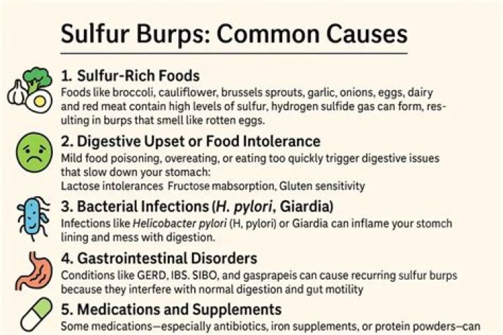 What causes sulfur burps?