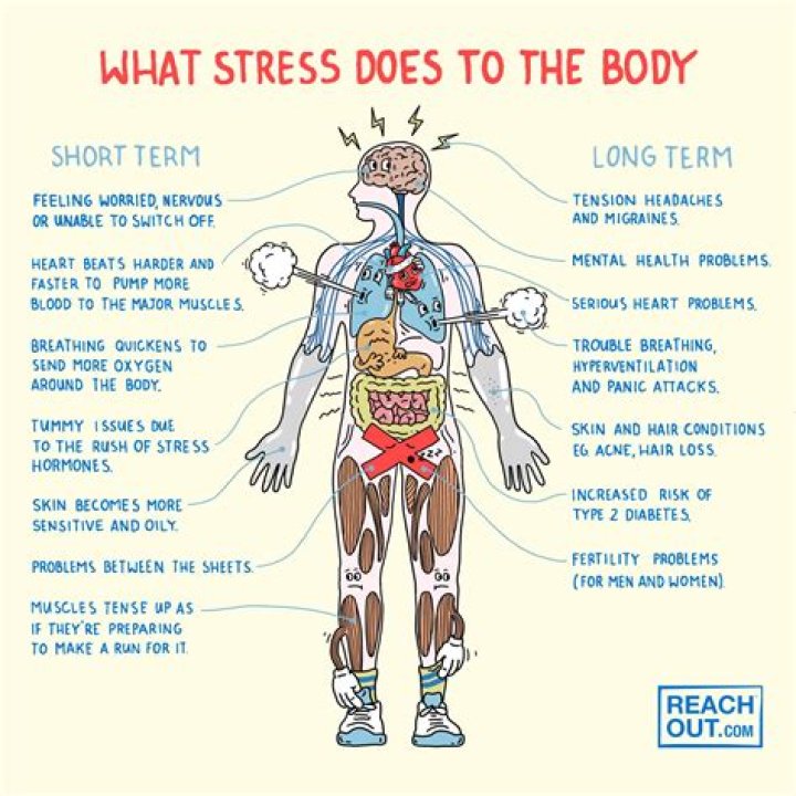 What does a stress tell you?