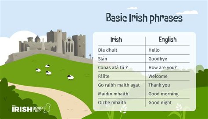 What does alain mean in irish?