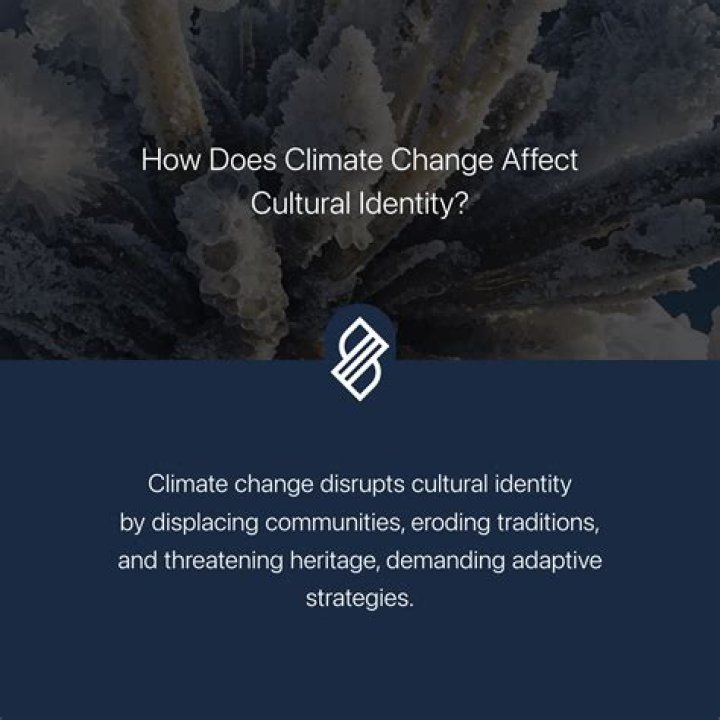 What does anti cultural?