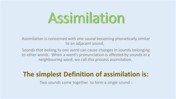 What does assimilated mean?