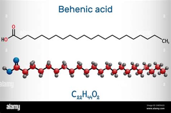 What does behenic acid?