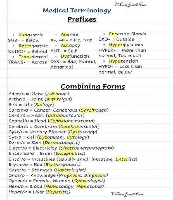 What does cerebrology mean in medical terms?