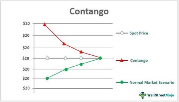 What does contango mean?
