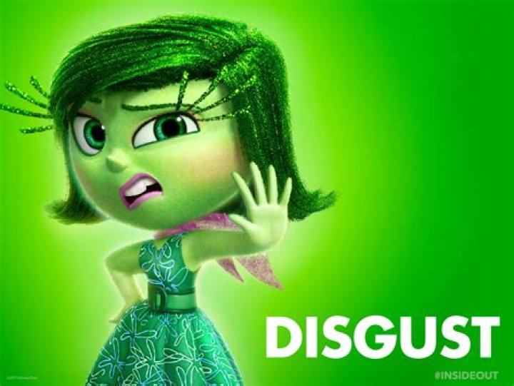 What does disgust mean?