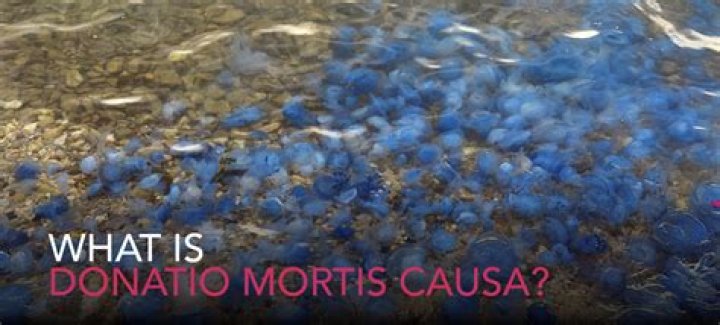 What does donatio mortis causa mean?