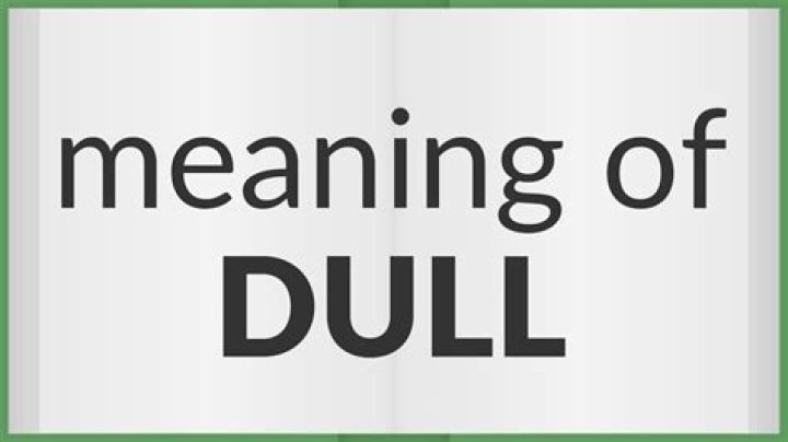 What does dull-wittedness meaning?