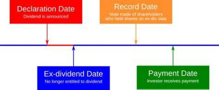What does ex dividend date mean?