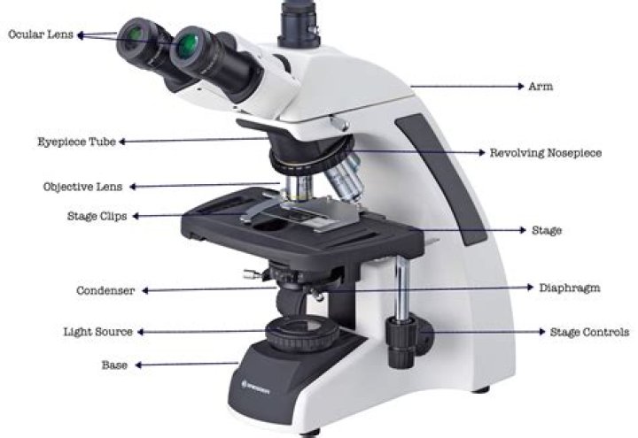 What does eyepiece mean on a microscope?