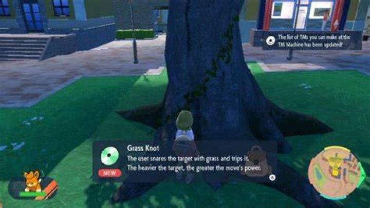 What does grass knot do?