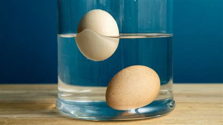 What does it mean if an egg floats?