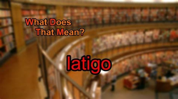 What does latigo mean?