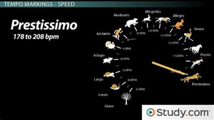 What does maestoso mean in english?