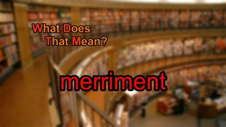 What does merriment mean?