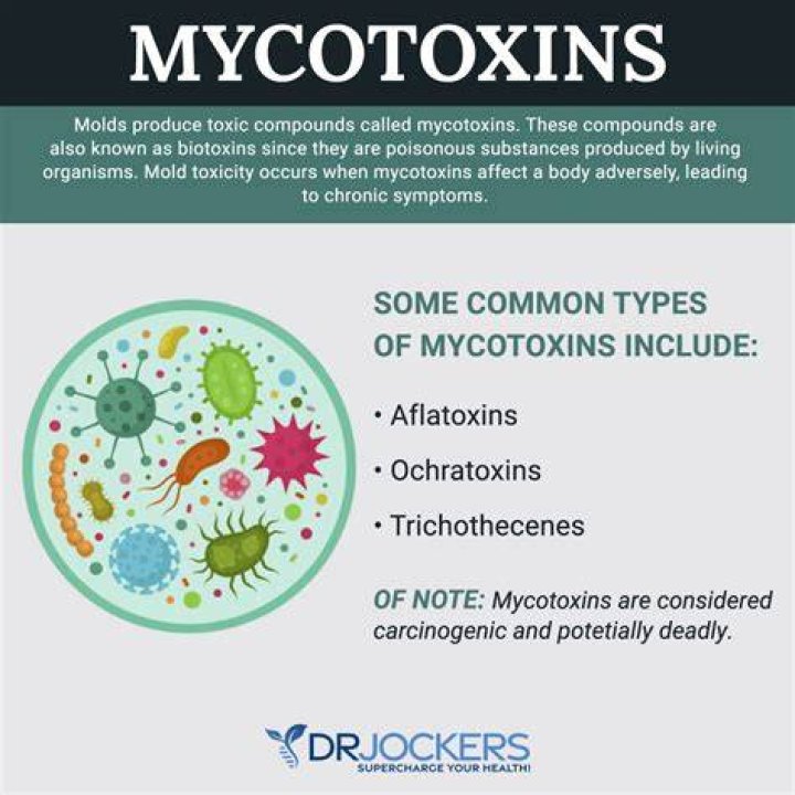 What does mycotoxicosis mean?