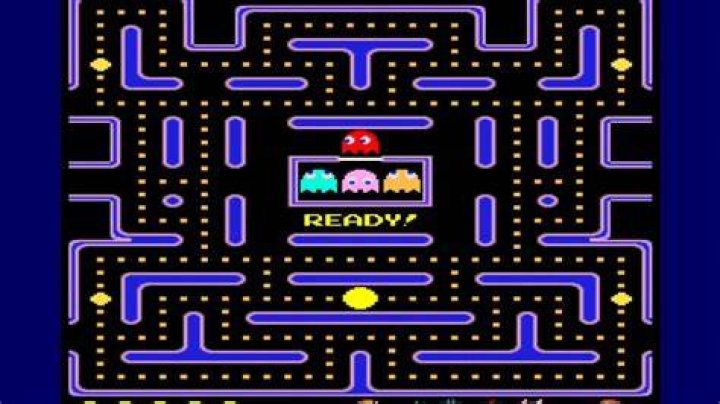 What does pacman eat?