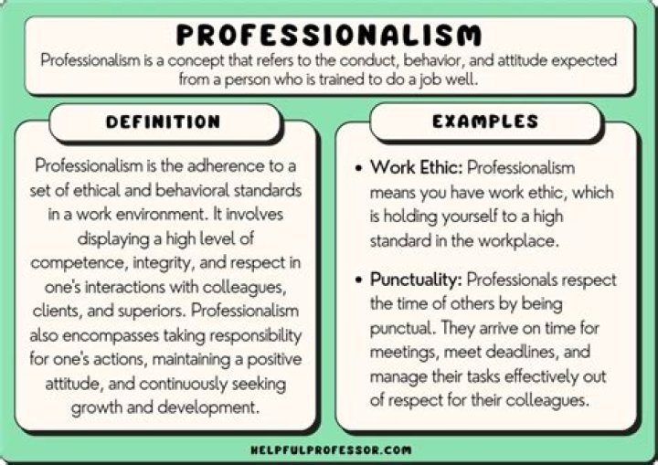 What does professionalism look like?