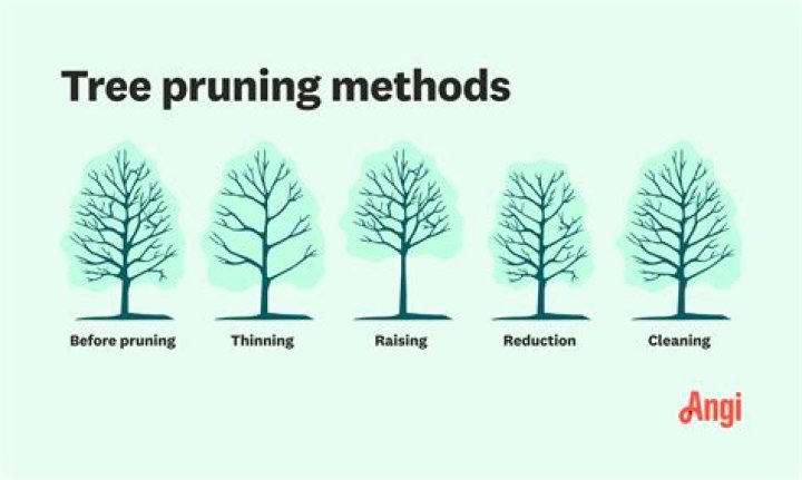 What does proning mean?