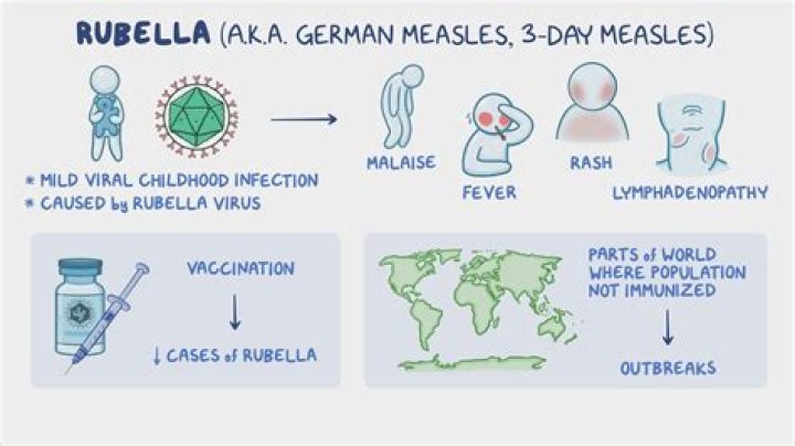 What does rubella non immune mean?