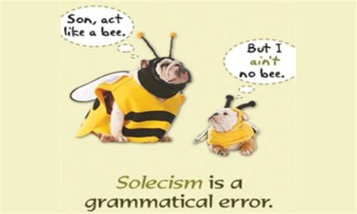 What does solecism mean?