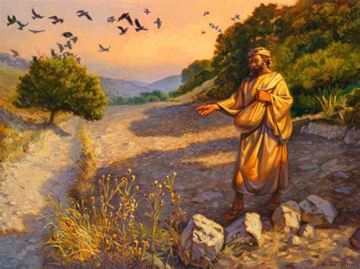 What does sower mean?