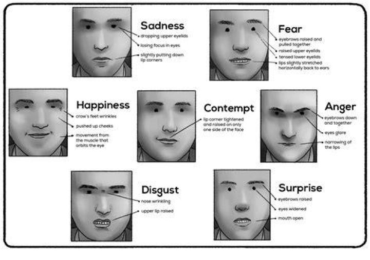 What does the expression fellow feeling mean?